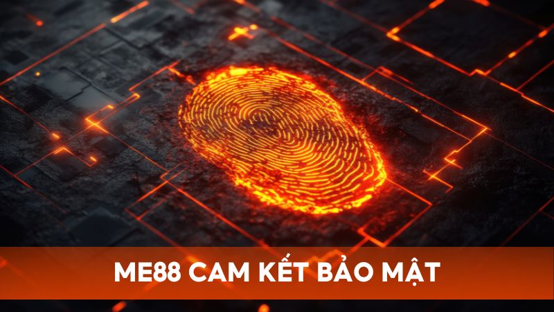 Me88 cam kết bảo mật mọi thông tin thu thập nhằm bảo vệ an toàn cho thành viên