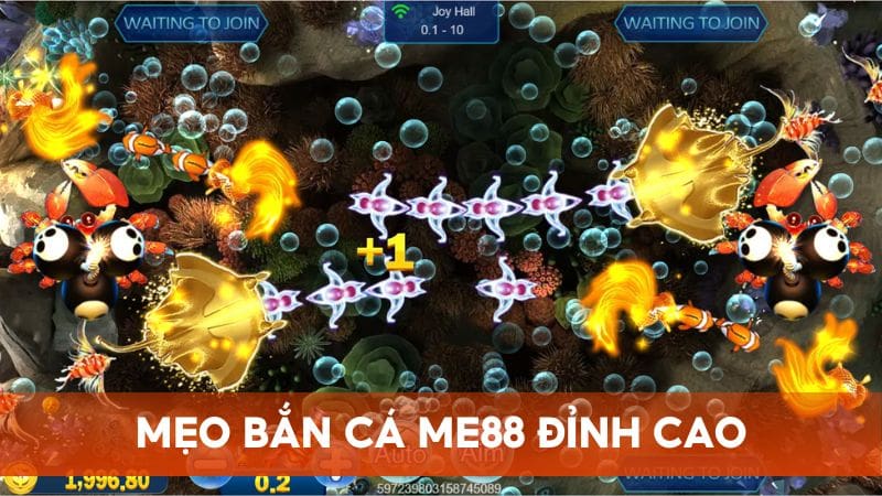 Chia sẻ mẹo bắn cá đỉnh cao giúp bạn nhận xu liên tục từ chuyên gia